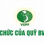 Quỹ Bảo Vệ Môi Trường Việt Nam Vepf