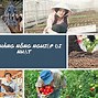 Xuất Khẩu Lao Động Nhật Bản Làm Nông Nghiệp