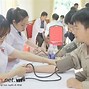 Xuất Khẩu Lao Động Nhật Ngành Gì